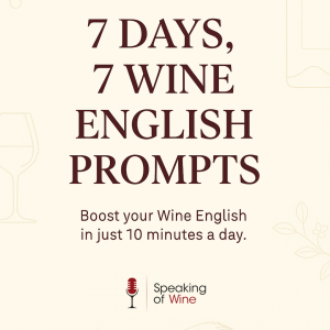 7 Wine English Prompts